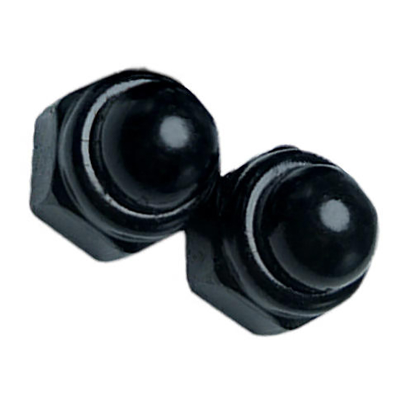 DIN 986:2013 Nonmetal Insert Acorn Nut