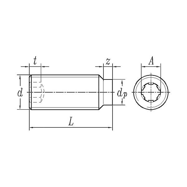 ASME/ANSI B18.3:2003 Hex Socket Dog Point Set Screw