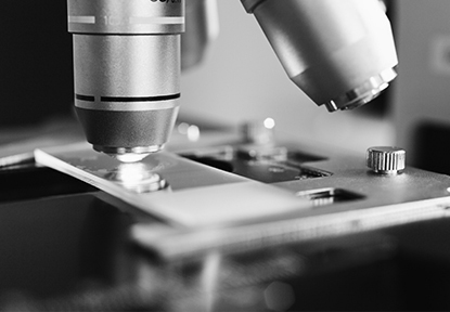 Better Fastener Industry Co., Ltd.